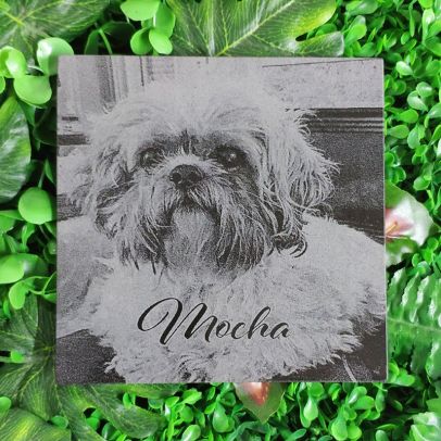 MemorialsLAB Personalized Pet Memorial Stones with Photo Grave Markers for Dogs Cats Horse Birds People